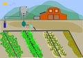 Automated irrigation system
