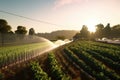 automated irrigation system watering crops