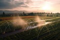 automated irrigation system watering crops