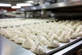 Automated manti production in industrial kitchen