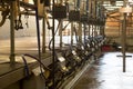 Automated milking line