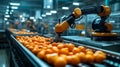 Automated Orange Sorting in a Modern Factory Setting