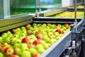 automated packaging of freshly picked apples