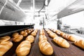 Automated production line bakery Fresh hot baked breads