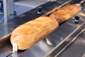 Automated production line bakery Fresh hot baked breads