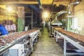 Automated production line and conveyor belt at modern bakery factory interior. Industrial food production