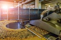 Automated production line of small salt cracker cookies. Oven and conveyor line machine Royalty Free Stock Photo