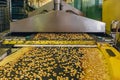 Automated production line of small salt cracker cookies. Oven and conveyor line machine Royalty Free Stock Photo