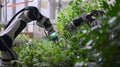 Automated Robotic System Managing Greenhouse Plants