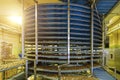 Automated round conveyor machine in bakery food factory, cookies and cakes production line Royalty Free Stock Photo