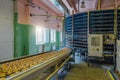 Automated round conveyor machine in bakery food factory, cookies and cakes production line Royalty Free Stock Photo