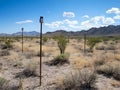 Automated Smart Sensor Network to Monitor and Protect Fragile Desert Ecosystems