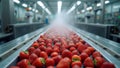 Automated sorting and packaging of fresh strawberries in a gleaming fruit processing facility