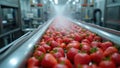 Automated sorting and packaging of fresh strawberries in a gleaming fruit processing facility