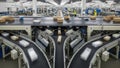 Automated warehouse conveyor belt system with packages moving along multiple lanes and workers overseeing operations Royalty Free Stock Photo