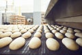 Automatic bakery production line with bread in bakery factory