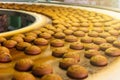 Automatic bakery production line with sweet cookies on conveyor belt equipment machinery in confectionary factory workshop