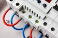 Automatic circuit breakers and voltage limiter connected by red and blue wires closeup in the white plastic mounting box Royalty Free Stock Photo