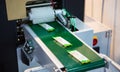 Automatic food flow wrapping machine