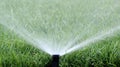 Automatic Garden Irrigation Spray Royalty Free Stock Photo