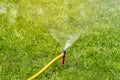 Automatic Garden Lawn sprinkler in action watering grass Royalty Free Stock Photo