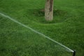 Automatic Garden Lawn sprinkler in action watering green grass Royalty Free Stock Photo