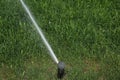 Automatic Garden Lawn sprinkler in action watering green grass Royalty Free Stock Photo