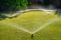 Automatic Garden Sprinkler. Backyard Watering Technology for green lawn