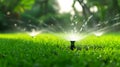 Automatic garden watering system with sprinklers on green lawn Royalty Free Stock Photo