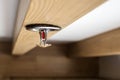 Automatic head fire sprinkler extinguisher on white ceiling light window view selected focus on sprinkler