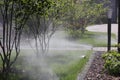 Automatic irrigation system in the garden with sprinklers watering the lawn and bushes Royalty Free Stock Photo