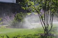 Automatic irrigation system in the garden with sprinklers watering the lawn and bushes Royalty Free Stock Photo