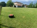 automatic lawn mower robot moves on the grass, lawn. side view from above, copy space