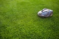 Automatic lawn mower robot moves on the grass, lawn. side view from above, copy space