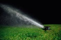 Automatic lawn sprinkler spraying water over golf course green grass Royalty Free Stock Photo