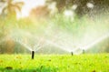 Automatic lawn sprinkler watering green grass. Sprinkler with automatic system. Garden irrigation system watering lawn. Sprinkler Royalty Free Stock Photo