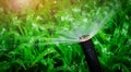 Automatic lawn sprinkler watering green grass. Sprinkler with automatic system. Garden irrigation system watering lawn. Water Royalty Free Stock Photo