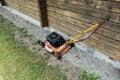 Automatic lawnmower captured in the backyard of a summer house