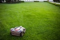 Automatic lawnmower robot mower on grass, lawn. view of the large mowed lawn. copy space Royalty Free Stock Photo