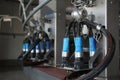 Automatic milking system in parlor, space for text. Modern dairy farm Royalty Free Stock Photo