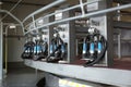 Automatic milking systems in parlor. Modern dairy farm Royalty Free Stock Photo