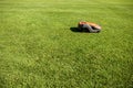 Automatic lawn mower robot moves on the green grass