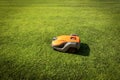 Automatic lawn mower robot moves on the green grass