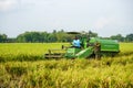 Automatic rice harvester machine is being used to harvest the fields.