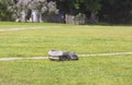 Automatic robot lawnmower mowing green grass on a lawn in a warm sunny summer day
