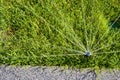 Automatic Sprinkler head spraying water over green grass. Royalty Free Stock Photo