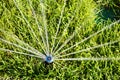 Automatic Sprinkler head spraying water over green grass. Royalty Free Stock Photo