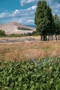 Automatic Sprinkler irrigation system watering in the vegetable farm. Selective focus and motion blur Royalty Free Stock Photo