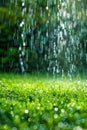 Automatic sprinkler system watering the lawn Royalty Free Stock Photo