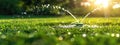 Automatic sprinkler system watering the lawn Royalty Free Stock Photo